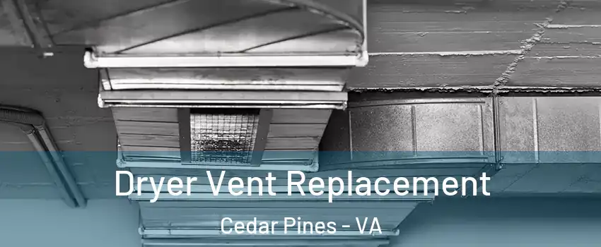 Dryer Vent Replacement Cedar Pines - VA
