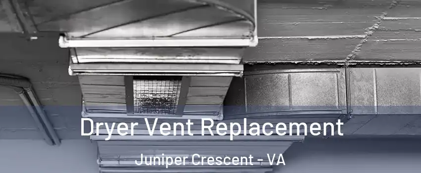 Dryer Vent Replacement Juniper Crescent - VA