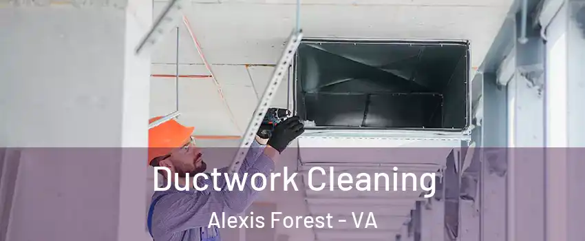 Ductwork Cleaning Alexis Forest - VA