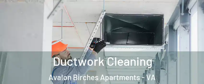 Ductwork Cleaning Avalon Birches Apartments - VA