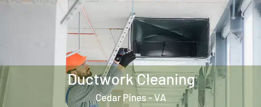 Ductwork Cleaning Cedar Pines - VA