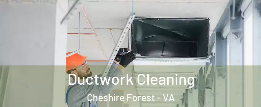 Ductwork Cleaning Cheshire Forest - VA