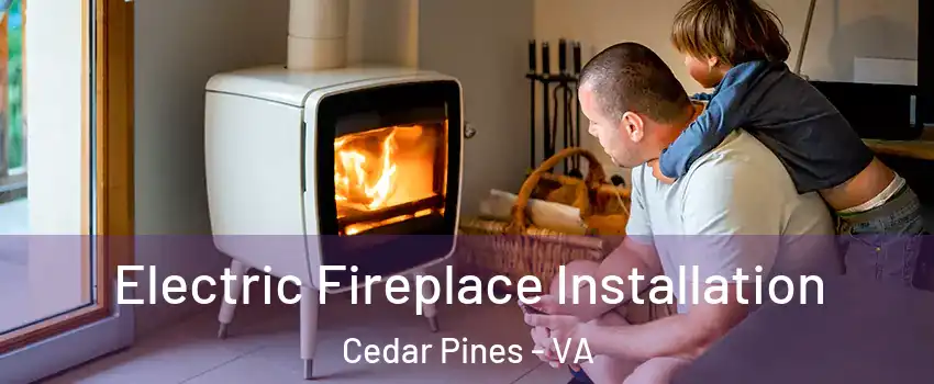 Electric Fireplace Installation Cedar Pines - VA