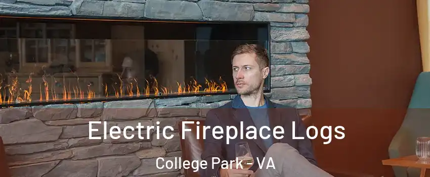 Electric Fireplace Logs College Park - VA