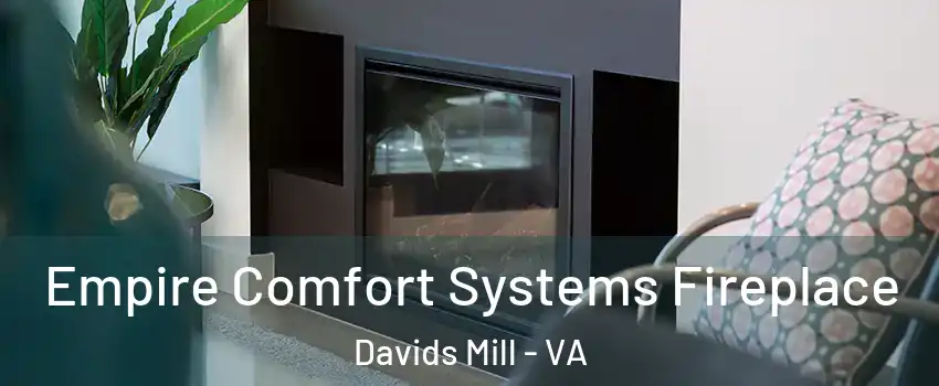Empire Comfort Systems Fireplace Davids Mill - VA