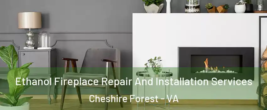 Ethanol Fireplace Repair And Installation Services Cheshire Forest - VA
