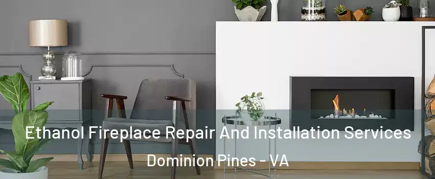 Ethanol Fireplace Repair And Installation Services Dominion Pines - VA