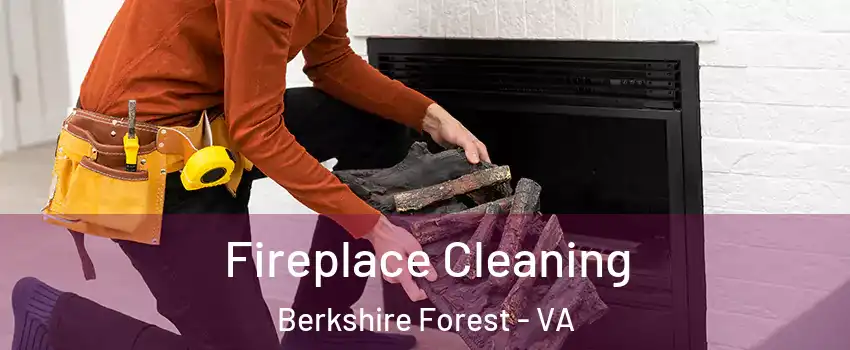 Fireplace Cleaning Berkshire Forest - VA