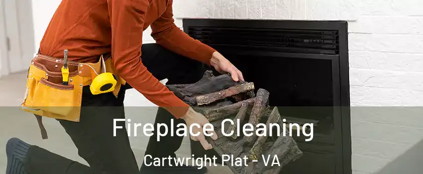 Fireplace Cleaning Cartwright Plat - VA