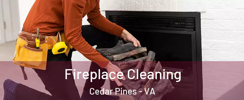 Fireplace Cleaning Cedar Pines - VA