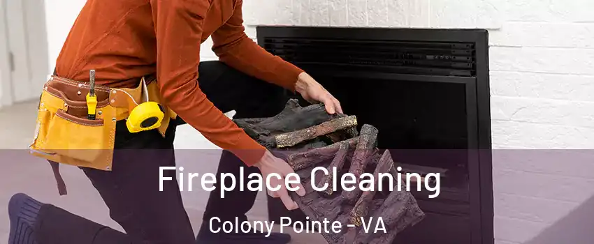 Fireplace Cleaning Colony Pointe - VA
