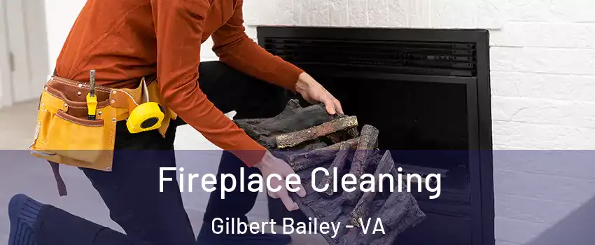 Fireplace Cleaning Gilbert Bailey - VA