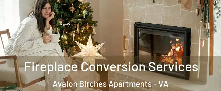 Fireplace Conversion Services Avalon Birches Apartments - VA