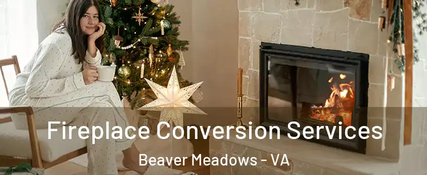 Fireplace Conversion Services Beaver Meadows - VA