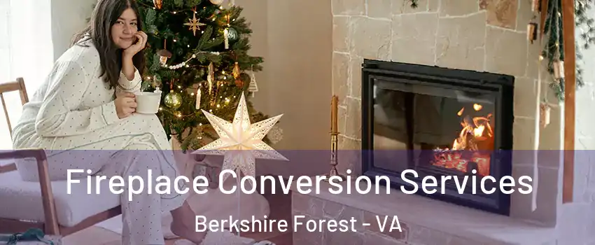 Fireplace Conversion Services Berkshire Forest - VA