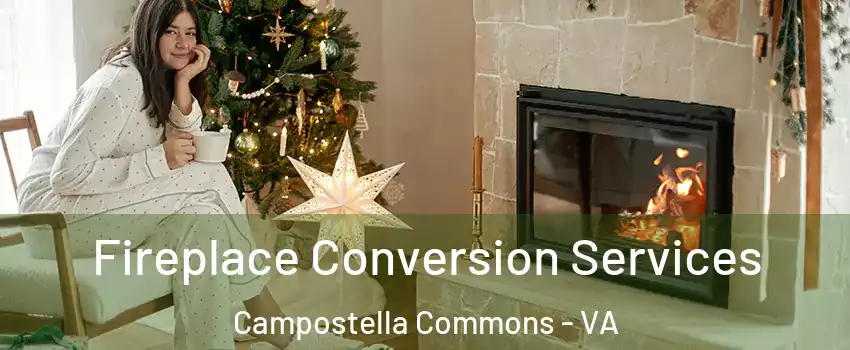 Fireplace Conversion Services Campostella Commons - VA