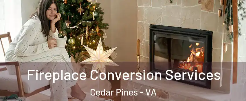 Fireplace Conversion Services Cedar Pines - VA