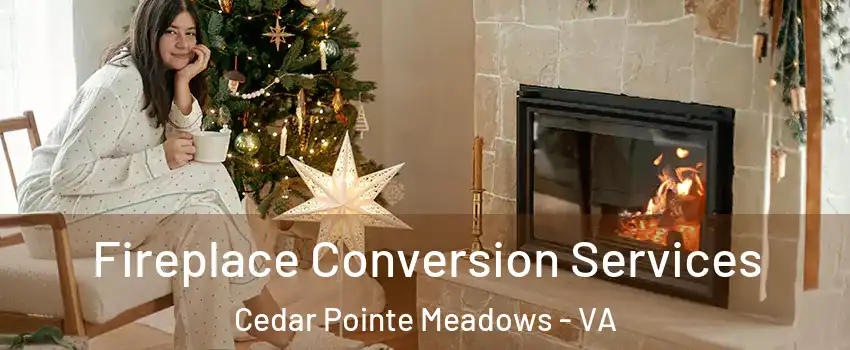 Fireplace Conversion Services Cedar Pointe Meadows - VA