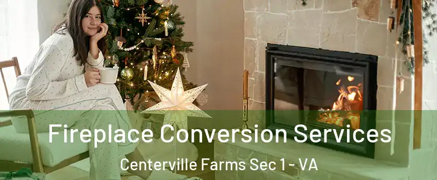 Fireplace Conversion Services Centerville Farms Sec 1 - VA