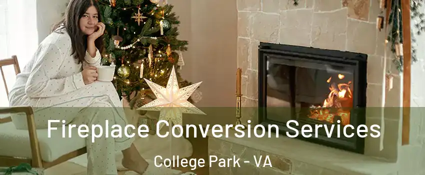 Fireplace Conversion Services College Park - VA