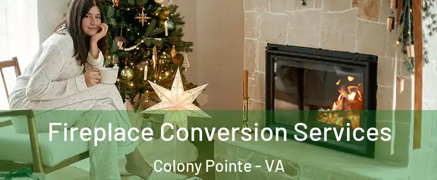 Fireplace Conversion Services Colony Pointe - VA