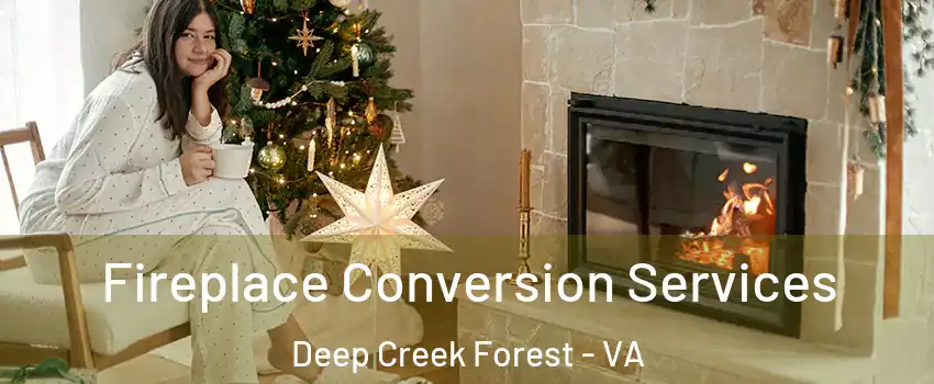 Fireplace Conversion Services Deep Creek Forest - VA