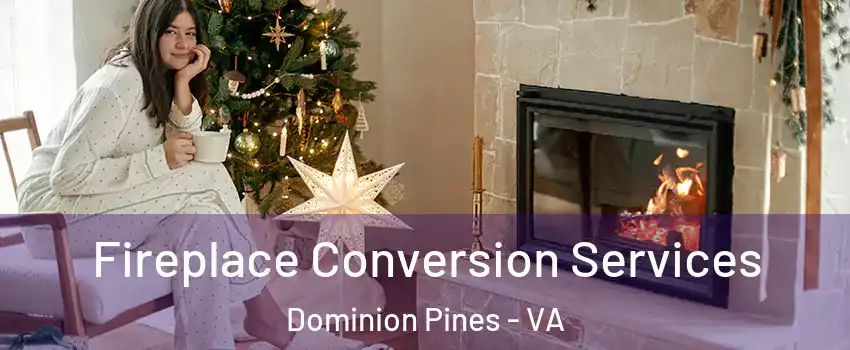 Fireplace Conversion Services Dominion Pines - VA