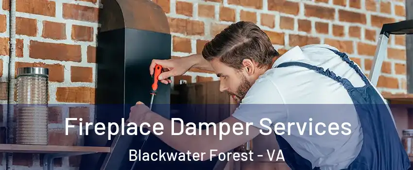 Fireplace Damper Services Blackwater Forest - VA