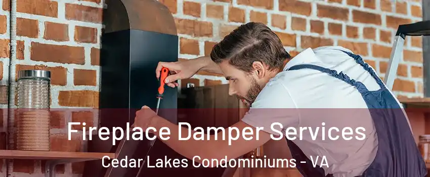 Fireplace Damper Services Cedar Lakes Condominiums - VA