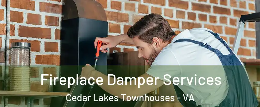 Fireplace Damper Services Cedar Lakes Townhouses - VA