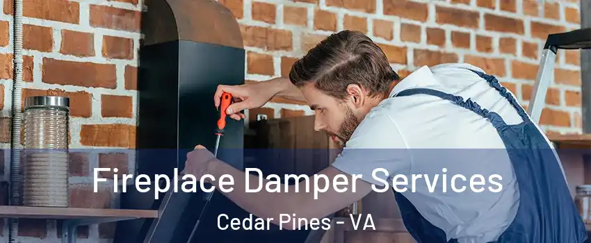 Fireplace Damper Services Cedar Pines - VA