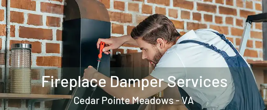 Fireplace Damper Services Cedar Pointe Meadows - VA