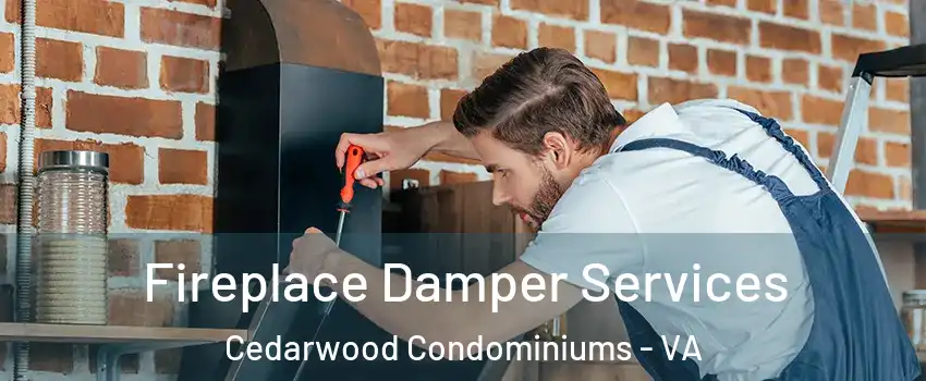 Fireplace Damper Services Cedarwood Condominiums - VA