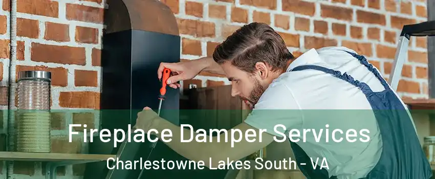 Fireplace Damper Services Charlestowne Lakes South - VA