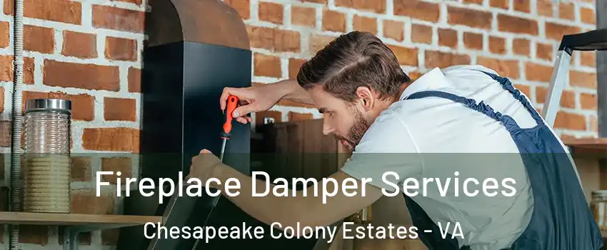 Fireplace Damper Services Chesapeake Colony Estates - VA
