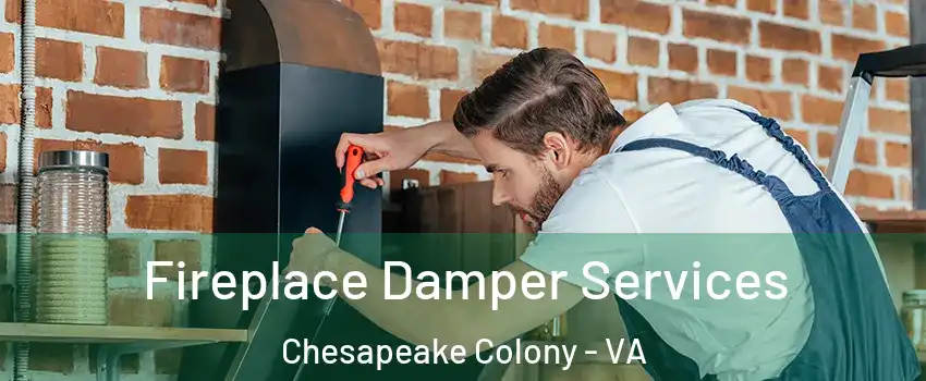 Fireplace Damper Services Chesapeake Colony - VA
