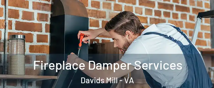 Fireplace Damper Services Davids Mill - VA