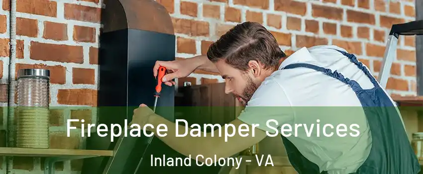 Fireplace Damper Services Inland Colony - VA