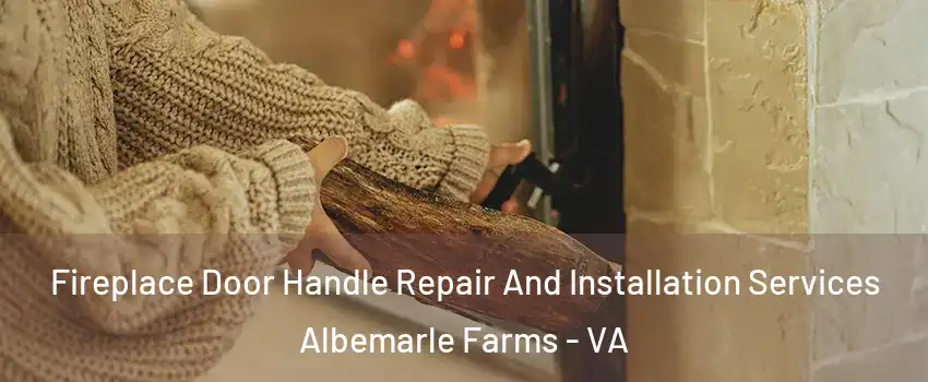 Fireplace Door Handle Repair And Installation Services Albemarle Farms - VA