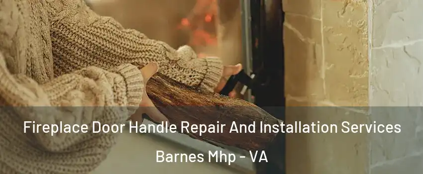 Fireplace Door Handle Repair And Installation Services Barnes Mhp - VA