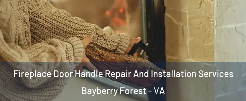 Fireplace Door Handle Repair And Installation Services Bayberry Forest - VA