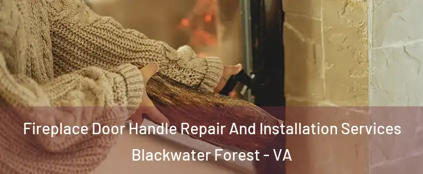 Fireplace Door Handle Repair And Installation Services Blackwater Forest - VA