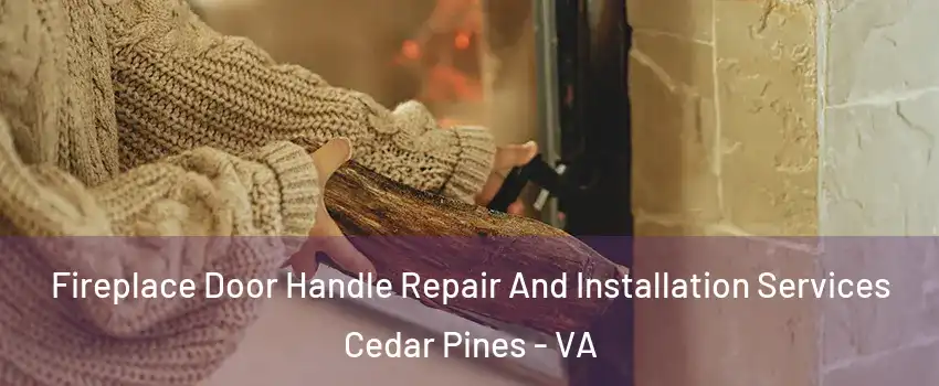 Fireplace Door Handle Repair And Installation Services Cedar Pines - VA