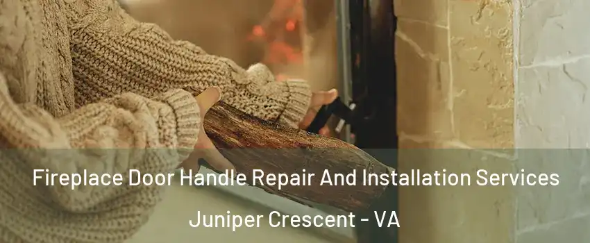 Fireplace Door Handle Repair And Installation Services Juniper Crescent - VA