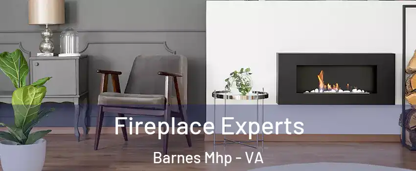 Fireplace Experts Barnes Mhp - VA