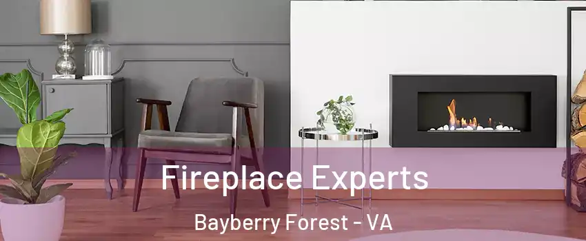 Fireplace Experts Bayberry Forest - VA