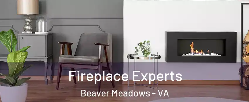 Fireplace Experts Beaver Meadows - VA