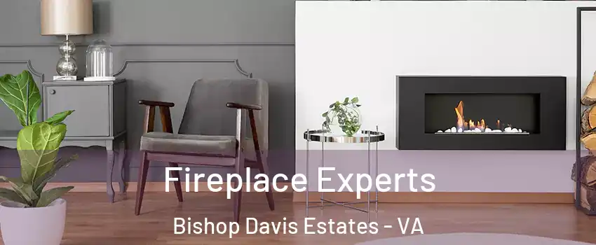 Fireplace Experts Bishop Davis Estates - VA