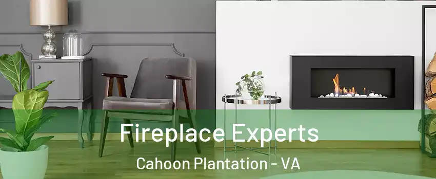 Fireplace Experts Cahoon Plantation - VA