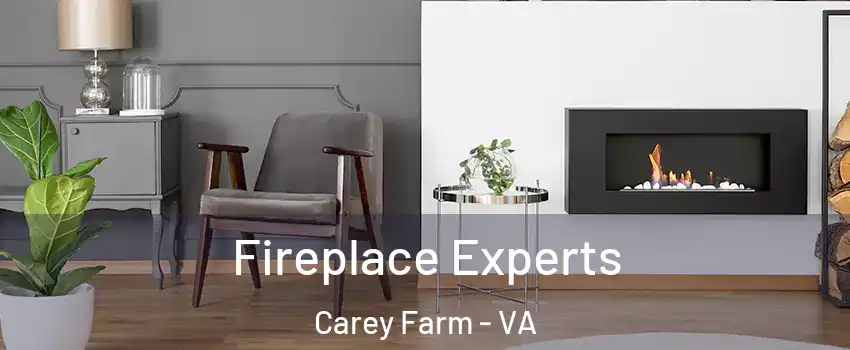 Fireplace Experts Carey Farm - VA